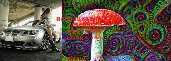 тгк Осташков