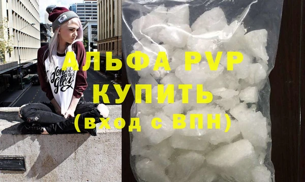 стафф Осинники